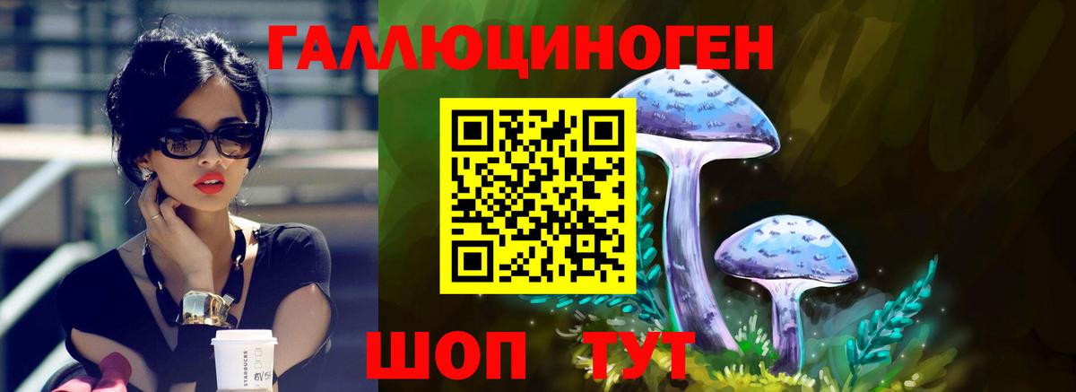 Галлюциногенные грибы прущие грибы  Вход с VPN  Лесосибирск 